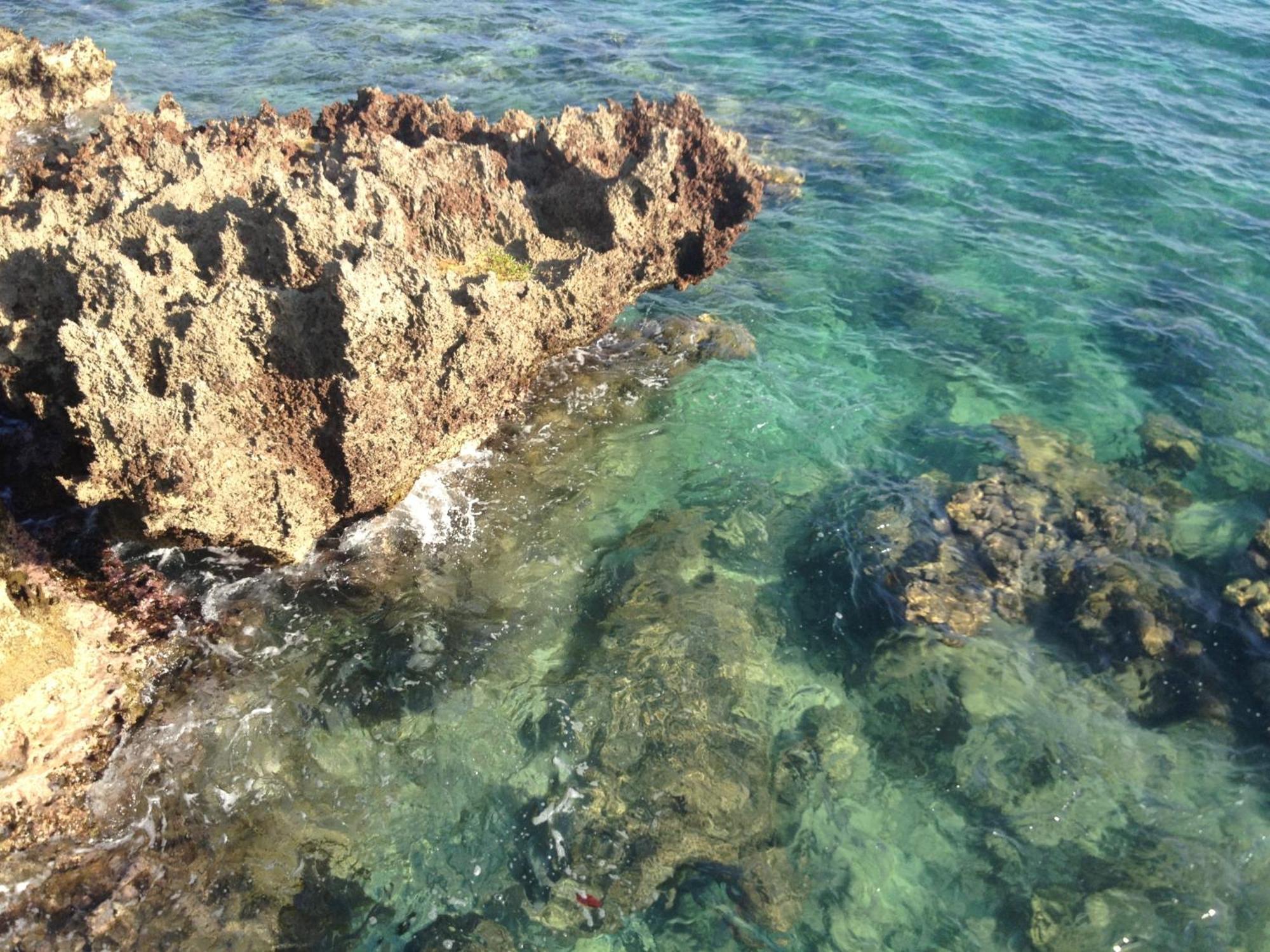Media Luna Resort & Spa Second Bight Екстериор снимка